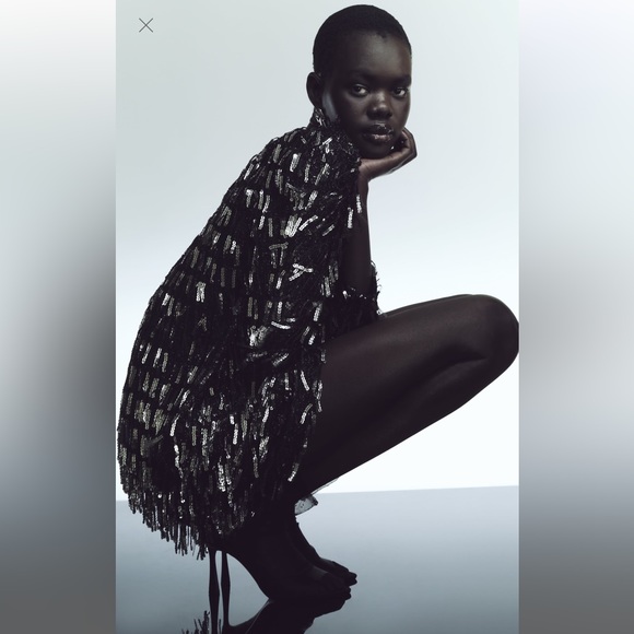 FRINGED SEQUIN MINI SHIFT DRESS - Picture 6 of 7